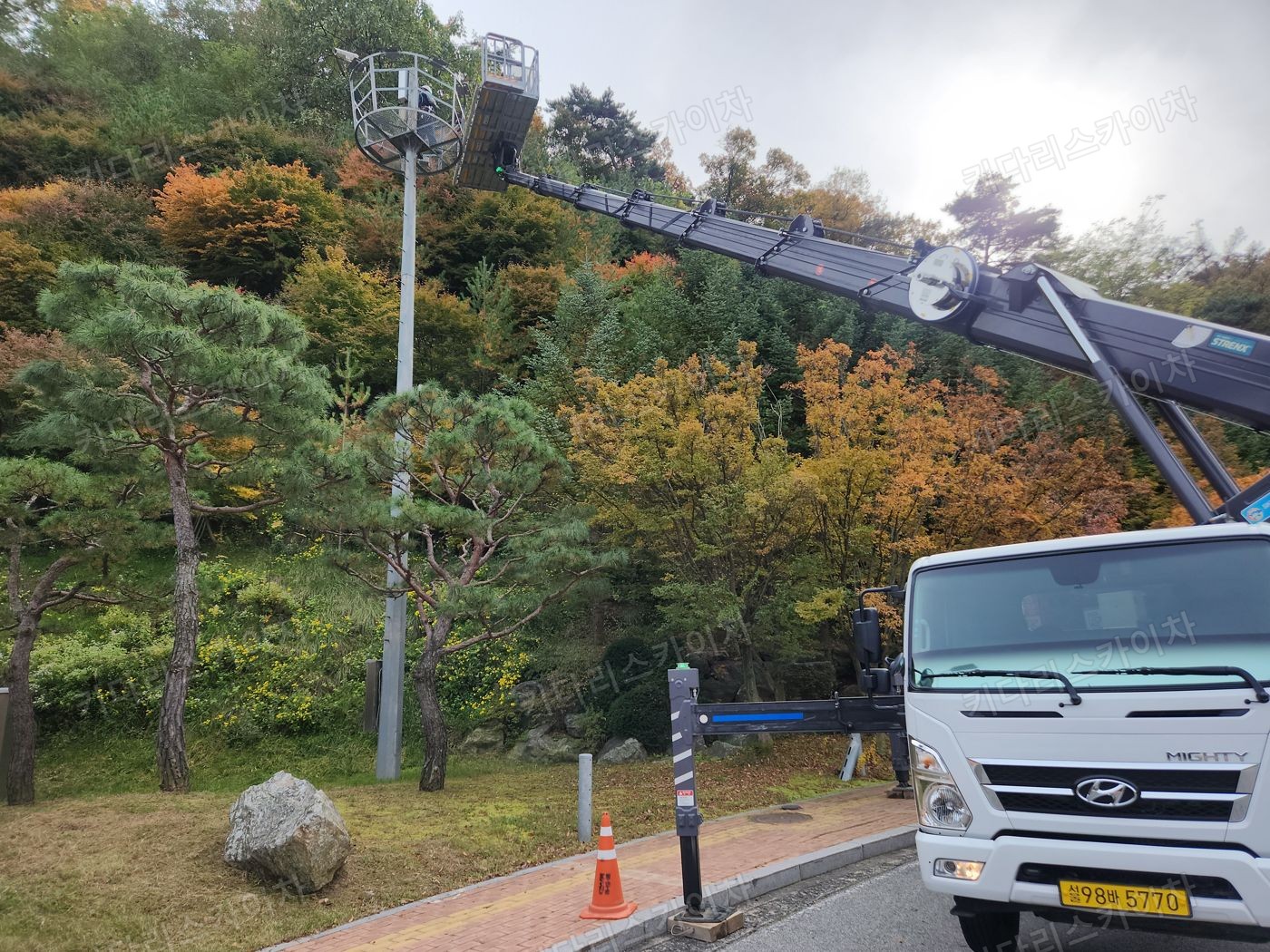 수목 주변 도로의 스카이차 배치