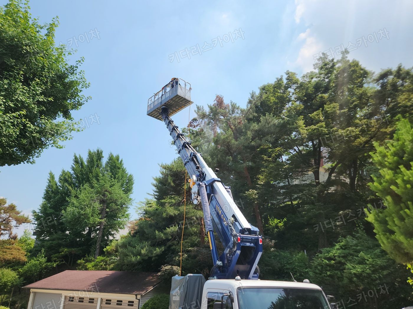 수목 주변 도로의 스카이차 배치